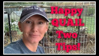 Happy QUAIL Two MUST Dos [upl. by Bigler]