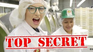 HOW BEAN BOOZLED IS MADE [upl. by Cheria112]