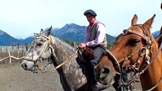 Gauchos argentinos  Caballos criollos en El Calafate  Argentine horses cowboy turismo travel [upl. by Anaic]