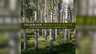 Telemann Music for Flute Full Album [upl. by Eedrahc342]