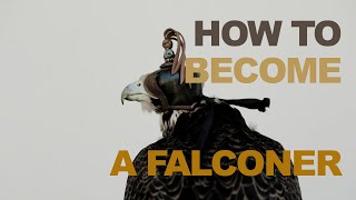 How To Become A Falconer [upl. by Ytitsahc]