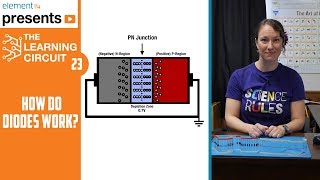 How Diodes Work  The Learning Circuit [upl. by Gena]