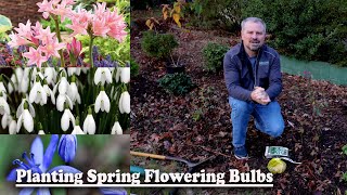 Planting Spring Flowering Bulbs  Scilla Anemones Amarcrinum Snowdrops [upl. by Alverta]