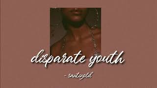 disparate youth  santigold slowed  reverb [upl. by Nylarac526]