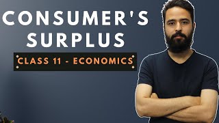 Consumers Surplus in Nepali  Grade 11  Economics [upl. by Buskirk608]