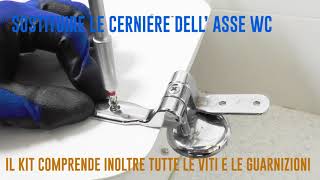 Come sostituire le cerniere di unasse WC  Masidef [upl. by Lleihsad]