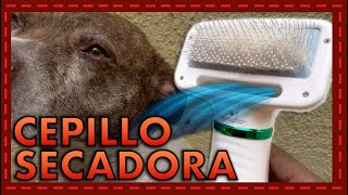 ¡Limpieza rápida y eficiente Revisión del cepillo aspiradora para perros que cambiará tu vida [upl. by Romine193]