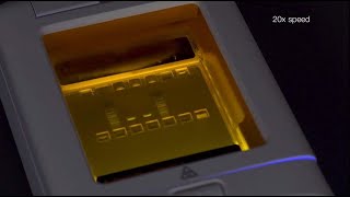 How To Quickly Purify DNA with EGel CloneWell II Gels [upl. by Noleta866]