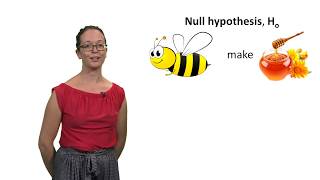 Null and alternative hypotheses with Lindsey Leach [upl. by Yracaz]