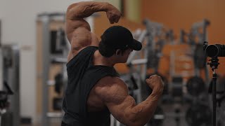 IFBB Pro Arm Workout [upl. by Iffar]