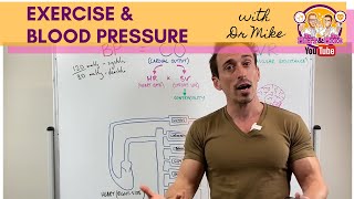 Exercise amp Blood Pressure [upl. by Bandler]