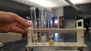 Lab 14 Enzyme activity experiment [upl. by Ahsienahs]