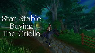 Buying the CRIOLLO horse SSO [upl. by Ayifas]