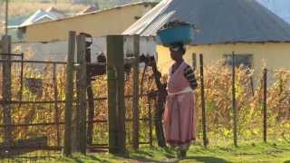 Qunu The Place that Shaped Nelson Mandela [upl. by Norbel]