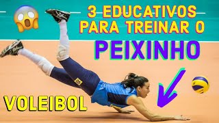 3 EDUCATIVOS PARA TREINAR PEIXINHO  SÉRIE NÃO DEIXE A BOLA CAIR 2 [upl. by Tildy356]