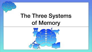 The Three Systems of Memory [upl. by Nalro606]