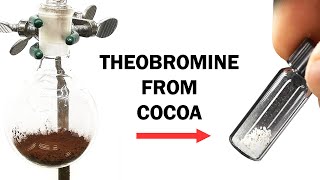 Extracting the theobromine from cocoa powder [upl. by Koeppel]