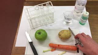 Catalase investigation [upl. by Rosemare]