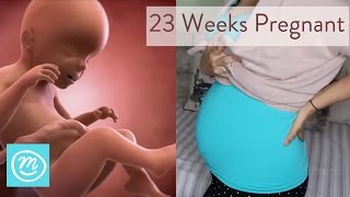 23 Weeks Pregnant What You Need To Know  Channel Mum [upl. by Ahsenahs182]