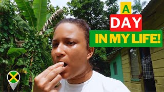 A Day in my Life in Rural Jamaica  Westmoreland Jamaica [upl. by Shepp519]