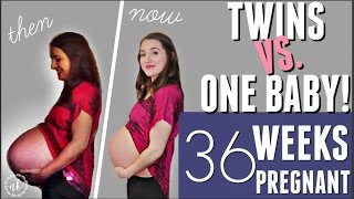 TWINS VS ONE BABY Comparing my Pregnancies  WEEK 36 UPDATE [upl. by Akilam]