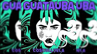 Guatauba  Cosculluela  AUDIO OFICIAL [upl. by Yasmar]