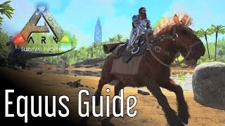 Equus Guide for ARK Survival Evolved [upl. by Newbold]