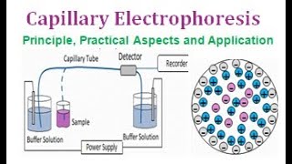 Capillary Electrophoresis  Principle Practical Aspects and Application [upl. by Delmer]