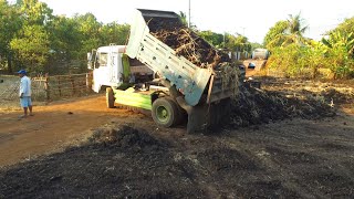 Start pouring quickly with a 5ton truck Make a great project [upl. by Orbadiah]