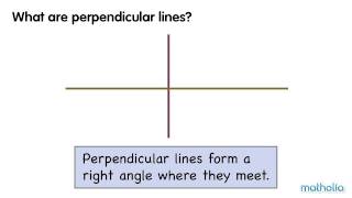 Perpendicular Lines [upl. by Eustis]