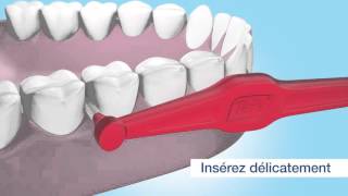 Comment utiliser une TePe Angle Brossette Interdentaire [upl. by Rammus281]