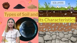 Types of Soil and Its Characteristics  Science 4  Quarter 4 Week 1 [upl. by Tomkins]