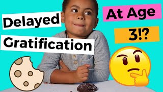 Delayed Gratification  Experiment Can A Toddler Delay Gratification [upl. by Ojybbob]