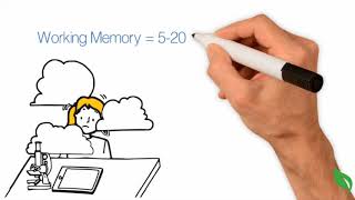 How Does Human Memory Work [upl. by Osana]