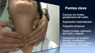 Exploración del cuello  Neck examination [upl. by Harned]