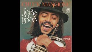 Chuck Mangione  Feels So Good Special Edited Version 1977 HQ [upl. by Furtek628]