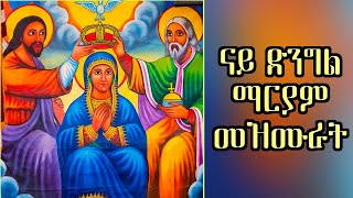 Eritrean Orthodox NonStop Dngl Mariam Collection Mezmur By Dn Abrham Mehari [upl. by Oinimreh]