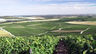 Guided tour of Moët amp Chandon House and Reims Champagne Region France [upl. by Meihar744]