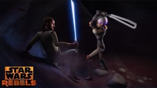 Star Wars Rebels Kanan amp Sabine Emotional Training Scene [upl. by Yellek243]