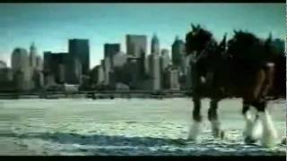 Budweiser 911 tribute commercial [upl. by Bandur]