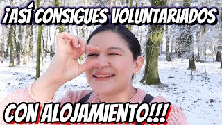 ¿Cómo conseguir VOLUNTARIADOS EN ALEMANIA [upl. by Standing]