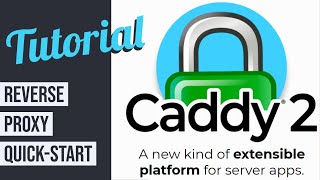 How to Reverse proxy quickstart  Caddy Web server [upl. by Ettelimay]