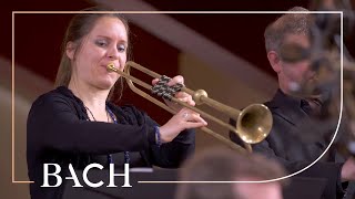 Bach  Easter Oratorio Kommt eilet und laufet BWV 249  Van Veldhoven  Netherlands Bach Society [upl. by Innej941]