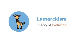 Lamarckism  Infographics  Theories of Evolution [upl. by Serra536]