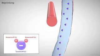 elektrische Polarisation erklärt [upl. by Ahsratal208]