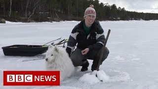 The women fighting for Lapland  BBC News [upl. by Dorolisa]