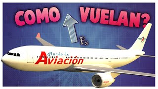 ¿Cómo hace un avión para volar [upl. by Pizor]