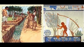 Ancient Egypt irrigation [upl. by Hotchkiss]