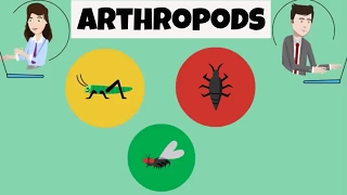 Characteristics of Arthropods [upl. by Fosdick]