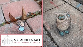 Fun Street Art Illustrations by David Zinn [upl. by Aurea78]